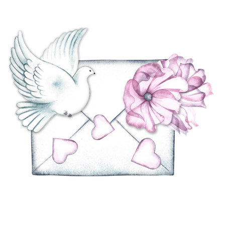 A white carrier pigeon and an envelope decorated with pink flowers and hearts. A hand-drawn watercolor illustration. A letter with declarations of love, congratulations, invitation, Valentines Day, weddingの写真素材