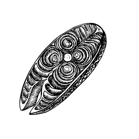 A butchered piece of red fish. A hand-drawn vector graphic illustration. Black and white image of seafood. Separate from the background. Perfect for menus, recipe books, packages, labels, and more.のイラスト素材