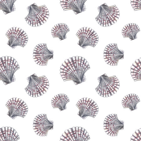 Seamless scallop pattern. A hand-drawn watercolor illustration. Color image of marine elements....