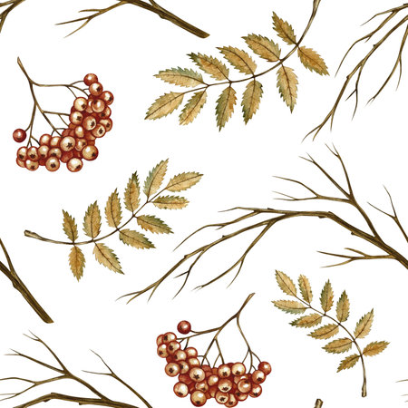 Seamless autumn pattern with berries and leaves of mountain ash. Handmade watercolor illustration. color image. For packaging, decor, textiles and wallpaper, printing and wrapping paper.の写真素材