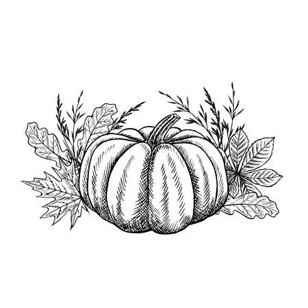 Autumn composition with pumpkin and plant elements. Vector graphics. Black and white hand-drawn illustration. For greeting and invitation cards, banners and posters, for stickers and packaging, labelsのイラスト素材