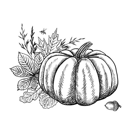 Autumn composition with pumpkin and plant elements. Vector graphics. Black and white hand-drawn illustration. For greeting and invitation cards, banners and posters, for stickers and packaging, labelsのイラスト素材