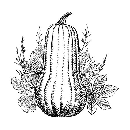Autumn composition with pumpkin and plant elements. Vector graphics. Black and white hand-drawn illustration. For greeting and invitation cards, banners and posters, for stickers and packaging, labelsのイラスト素材