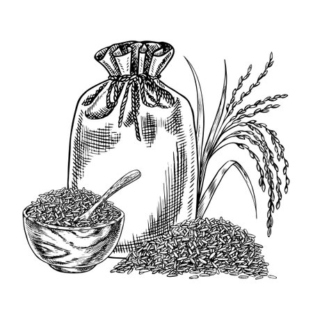 Burlap bags and a wooden bowl with rice or oats, wheat or rye. Black and white graphics, vector illustrations. Design element for menus, recipes, and cookbooks. For banners, flyers, packaging, labels.のイラスト素材