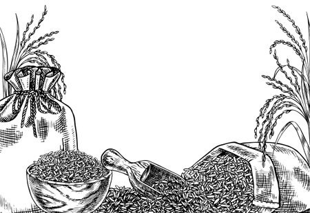 Frame - border with burlap bags and a wooden bowl with rice. Black and white graphics, vector illustrations. Design element for menus, recipes, and cookbooks. For banners, flyers, packaging, and labelのイラスト素材