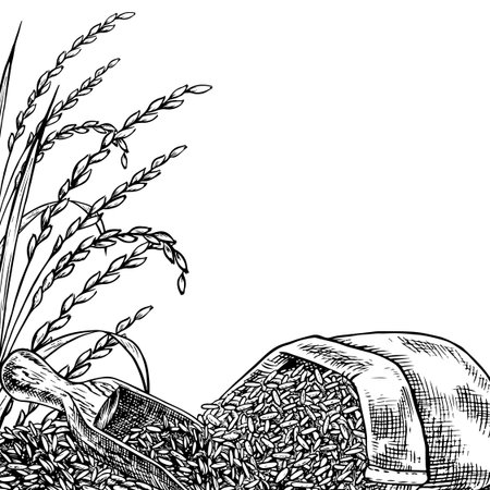 Frame - border with burlap bags and a wooden bowl with rice. Black and white graphics, vector illustrations. Design element for menus, recipes, and cookbooks. For banners, flyers, packaging, and labelのイラスト素材