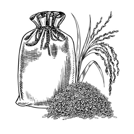 A filled closed burlap bag with a handful of rice and rice grains. Black and white graphics, vector illustrations. A design element for menus, recipes, and cookbooks. For banners, flyers, packaging.のイラスト素材