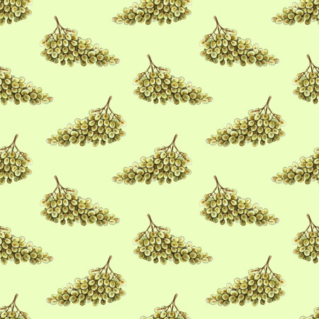Seamless pattern with bunches of white grapes. Hand-drawn watercolor illustration. Color image. Design element for packaging and labels. Suitable for textiles and wallpaper. For restaurant, bar menus.の写真素材