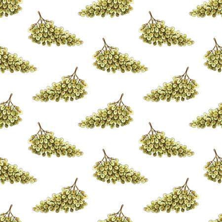 Seamless pattern with bunches of white grapes. Hand-drawn watercolor illustration. Color image. Design element for packaging and labels. Suitable for textiles and wallpaper. For restaurant, bar menus.の写真素材