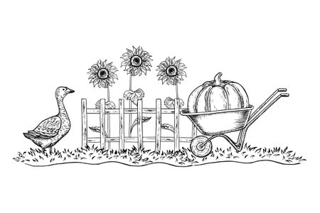 A village courtyard. Handmade black and white vector graphics. A large pumpkin in a wheelbarrow, a wooden fence, a goose, and sunflowers. For postcards, labels, and packaging. For banners, posters.のイラスト素材