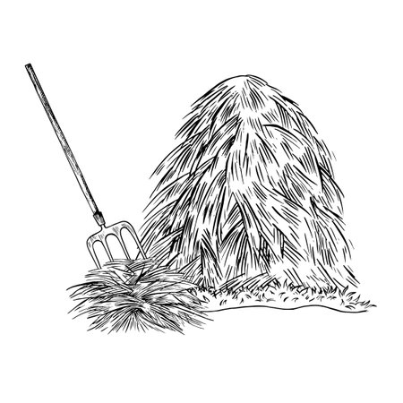 A haystack and a pitchfork. A hand-drawn black-and-white vector illustration. Animal feed. For the design of farm projects, as well as packaging, labels, and more.のイラスト素材