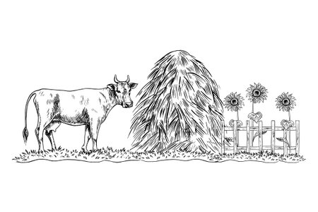 A village courtyard. Handmade black and white vector graphics. A cow, a haystack, and sunflowers. For design solutions, postcards, labels, and packaging. For banners, posters, and more.のイラスト素材