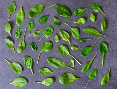 Healthy diet concept. Top view of scattered green fresh baby spinach leaves on dark grey stone background.の写真素材
