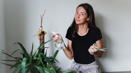 Woman shrugging with scissors and spray bottle near dry yucca plant indoorsの写真素材