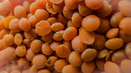 Red lentils background, raw red lentil grain texture, healthy plant based protein ingredient