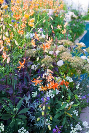 Garden flowersの写真素材