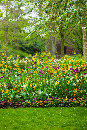 Garden landscapeの写真素材