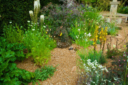 Garden landscapeの写真素材