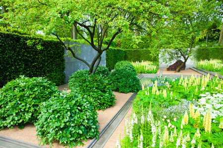 Garden landscapeの写真素材