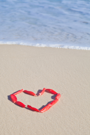 Heart made from red petals on the beachの写真素材