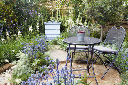 Tranquil garden landscapeの写真素材