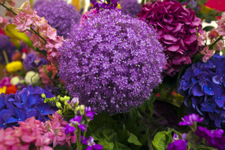 Flowers backgroundの写真素材