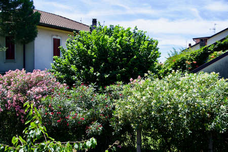 beautiful Italian garden in Seveso