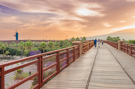 Tourists walking on the wooden walkway in the park at sunsetの写真素材