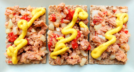 Crispbread with tuna, onions and mayonnaise sauceの写真素材