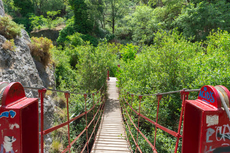 Rope bridge in the forest on the island of Crete, Greeceの写真素材