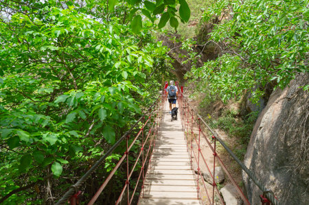 Hiking on a suspension bridge in the forest, Phuket, Thailand