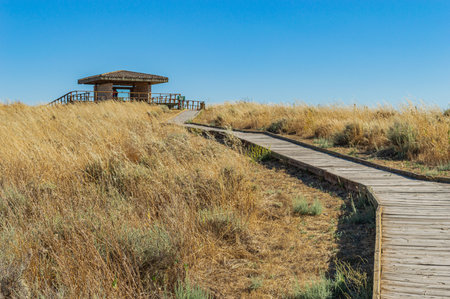 Wooden walkway in the sand dunes of the Black Sea coastの写真素材