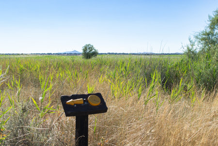 Binoculars on a post in a field of reedsの写真素材