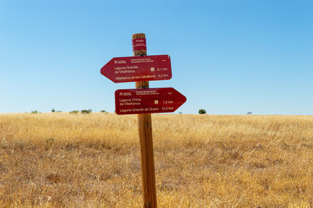 Directional signpost in a dry field against a blue skyの写真素材