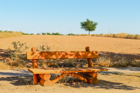 Wooden bench in the desert of Alentejo, Portugal.の写真素材
