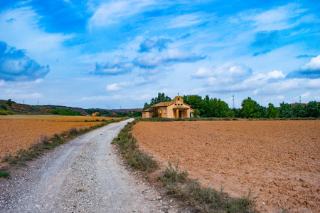 Rural landscape in Tuscany, Italy. Rural scene.の写真素材