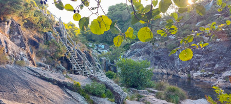 Stairs to the mountain river. Panorama of the mountain river.