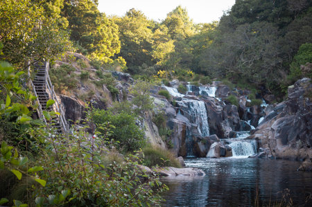 Waterfall in the forest. Beautiful landscape with waterfall in the forest.