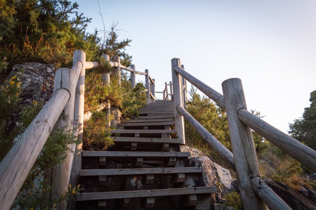 Wooden stairs to the top of the mountain with trees in the background