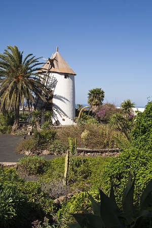 Windmill at lanzarote canary islandsの写真素材