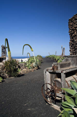 Lanzarote landscapeの写真素材