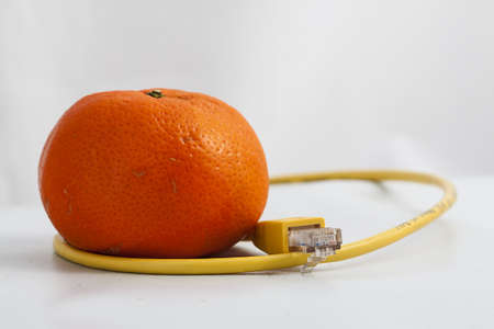 Image of a tangerine with ethernet cable