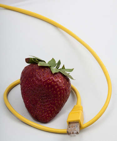 Image of a Strawberry with ethernet cable