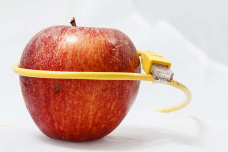 Image of isolated apple の写真素材
