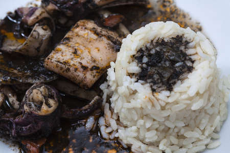 Image of Calamari with black sauce and riceの写真素材