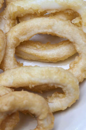 Image of Fried calamari dishの写真素材