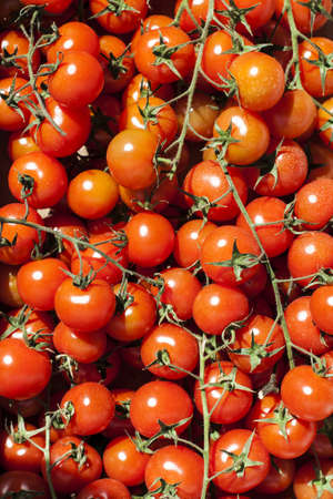 Image of some Cherry tomato at street marketの写真素材