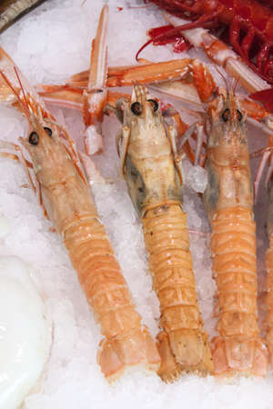 Image of seafood at San Miguel Marketの写真素材