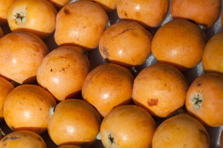 Image of some loquat at street marketの写真素材