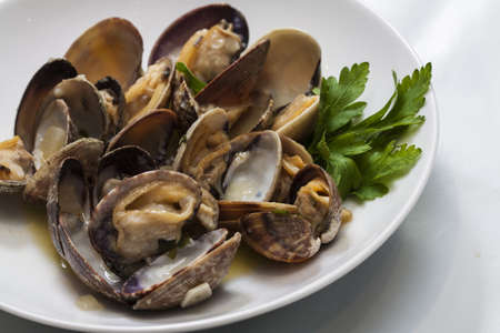 Steamed clams in white wine sauce, with onions and parsleyの写真素材